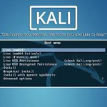 Kali Linux Live Boot pendrive 16 GB | Latest version of kali Linux