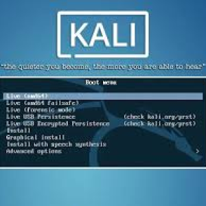 Kali Linux Live Boot pendrive 16 GB | Latest version of kali Linux