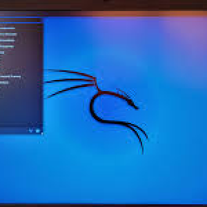 Kali Linux Live Boot pendrive 16 GB | Latest version of kali Linux