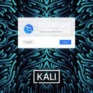 Kali Linux Live Boot pendrive 16 GB | Latest version of kali Linux